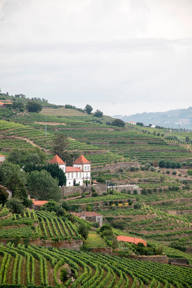 Casa Das Torres De Oliveira Mesao Frio Luaran gambar